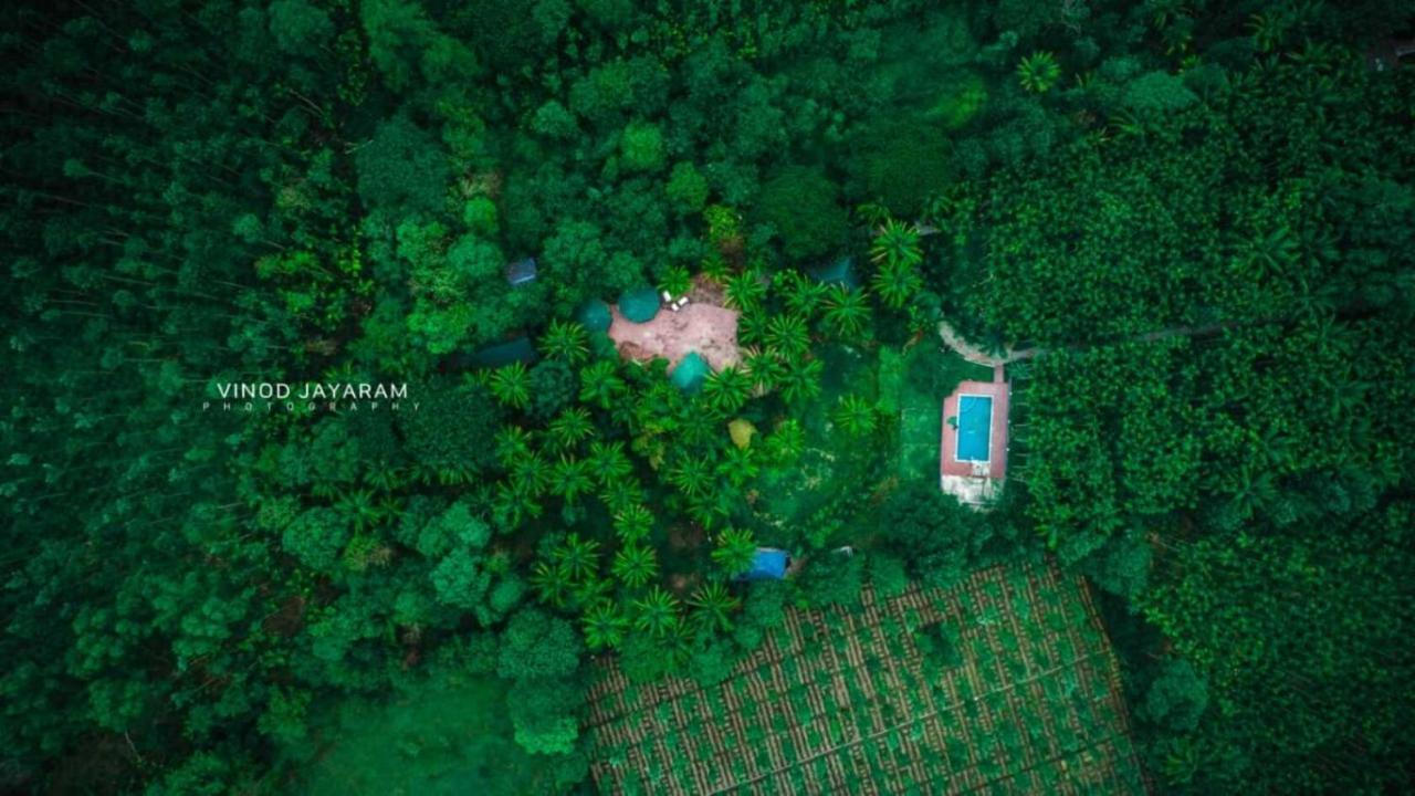 Staymaker Coorg Jungle Stay Resort Кушалнагар Экстерьер фото