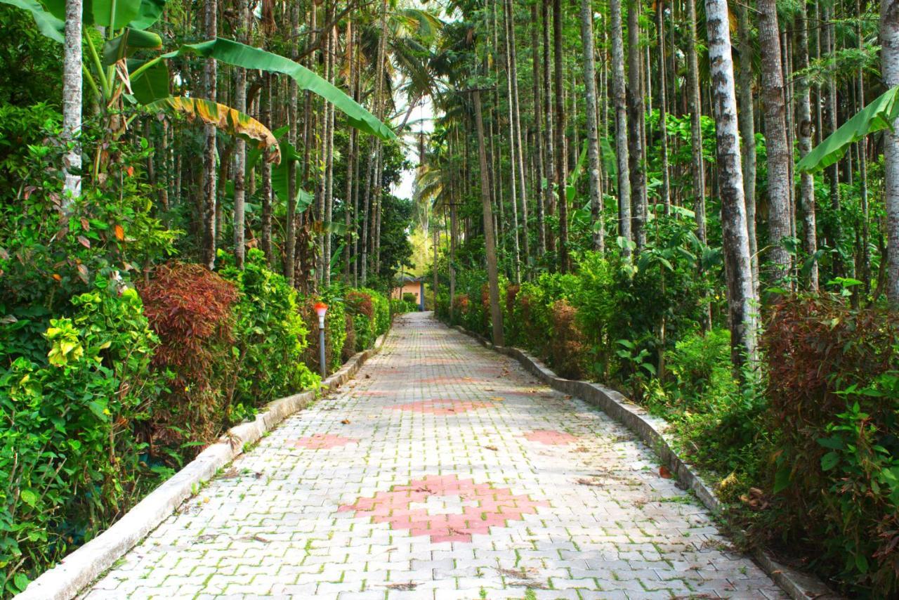 Staymaker Coorg Jungle Stay Resort Кушалнагар Экстерьер фото